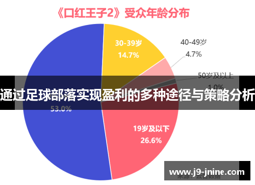 通过足球部落实现盈利的多种途径与策略分析 通过足球部落实现盈利的多种途径与策略分析